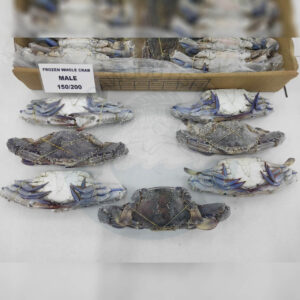 Blue-Swimming-Crab