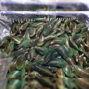 green-mussels
