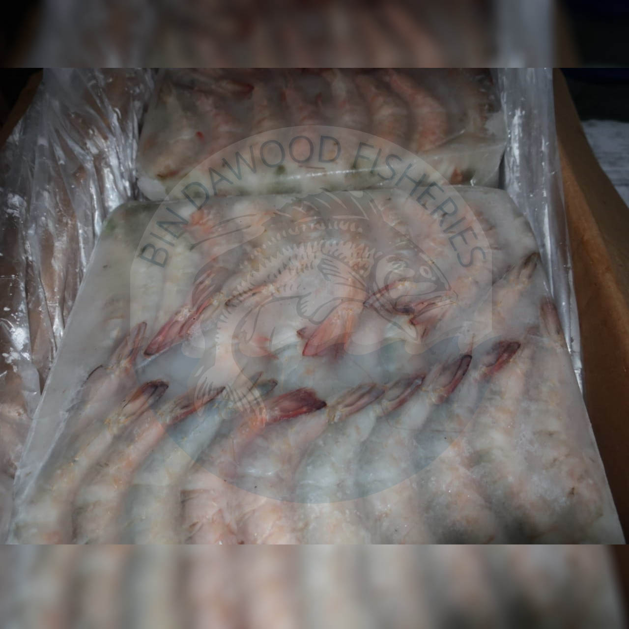 hlso-brown hlso-brown