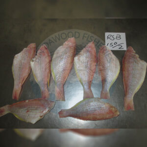 japanese-treadfin-bream-hgt