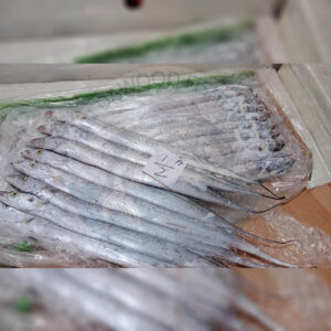 ribbonfish